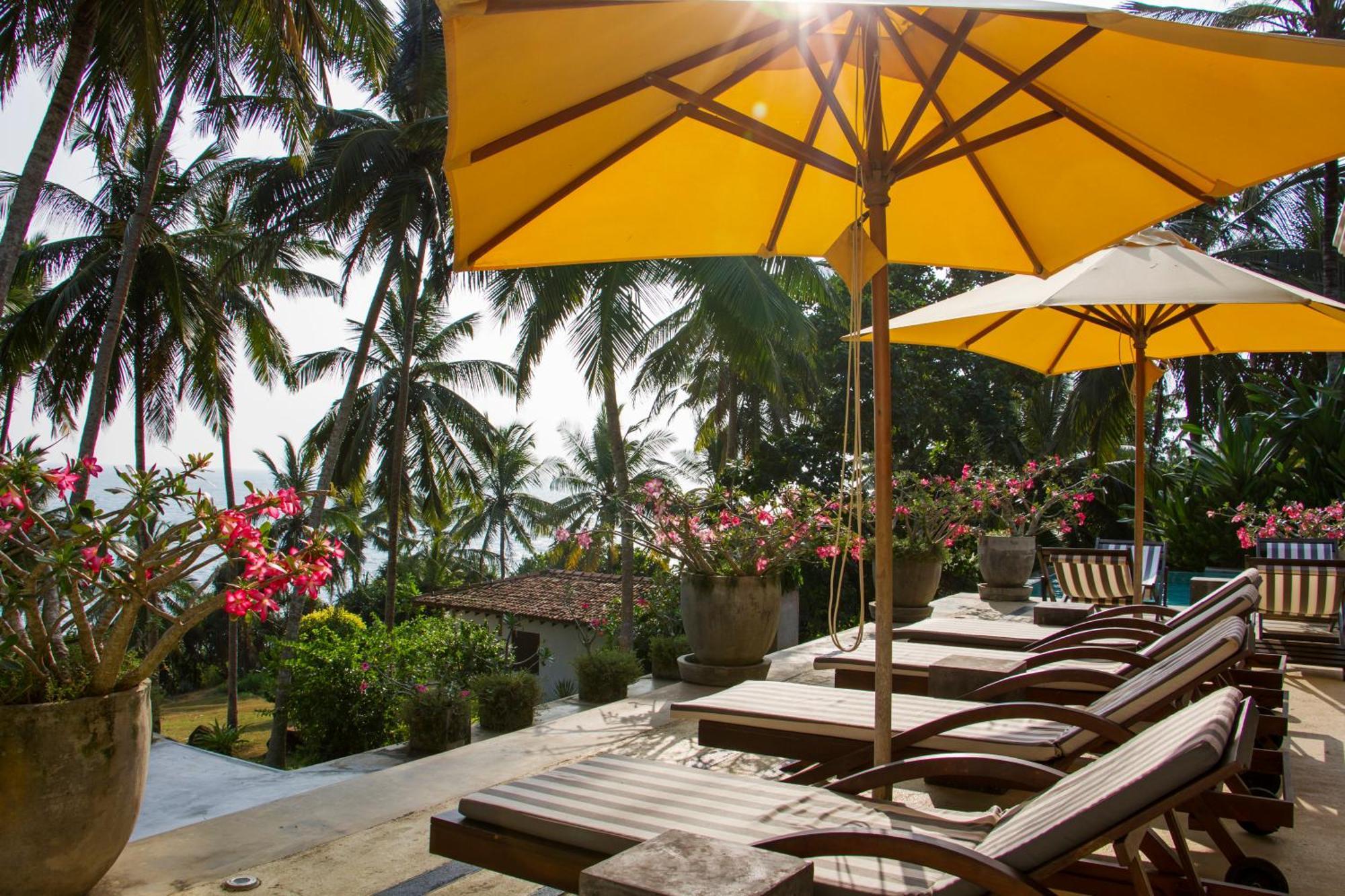 The Saffron House Hotel ดิคเวลลา ภายนอก รูปภาพ